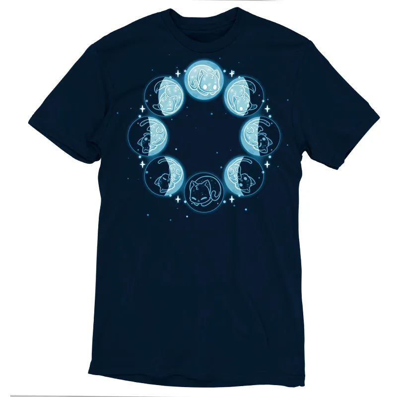 Kitty Moon Phases